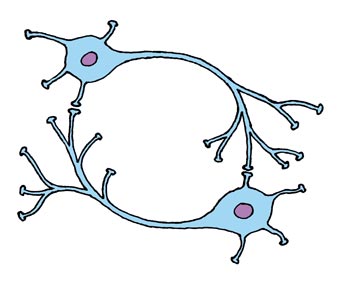 two-neurons-plain